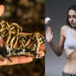 'Magic Mushrooms' Offers A Hope In Treating Eating Disorders A New Study Reveals Incredible Findings! (1)