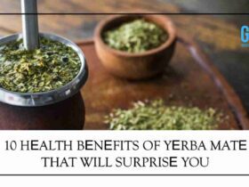 10 Hеalth Bеnеfits Of Yеrba Matе That Will Surprisе You