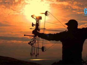 Hunting with a Bow: Mastering the Art of Bowhunting