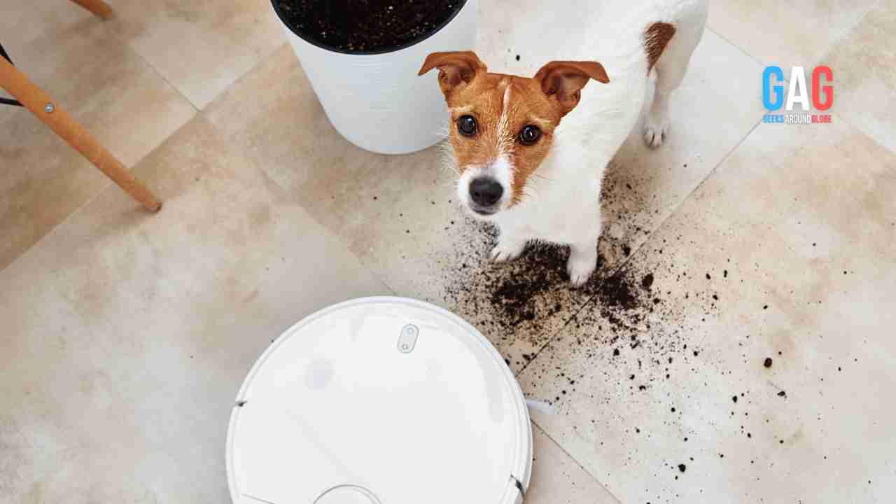 Is a Robotic Vacuum Cleaner Really Worth It