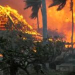 Devastating Hawaii Wildfires have killed 36 people!