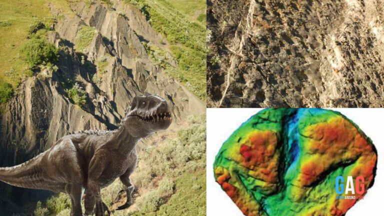 Scientists Discover The Largest Dinosaur Track Site In Alaska!