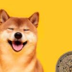 Origins, Developments, and Future of a Meme Coin