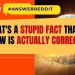 What's a Stupid Fact That You Know Is Actually Correct