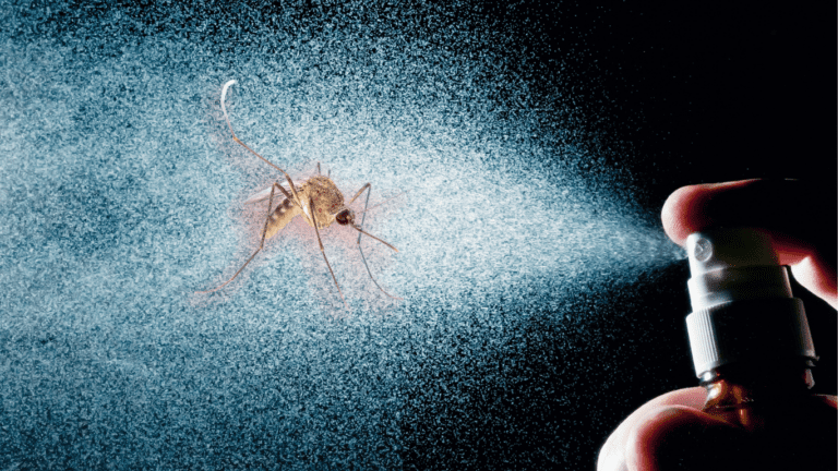 Perfume vs. Mosquitoes: Could this be the Scented Shield against Malaria?