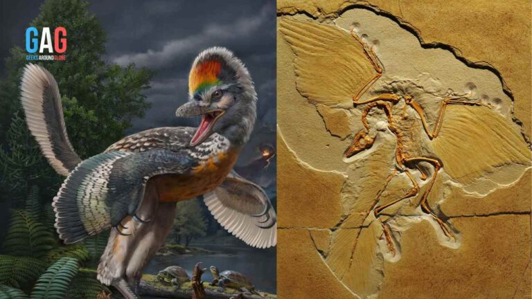 A Bizarre 150-million-year-old Bird-Like Dinosaur Species Found | Scientists Can Now Bridge the Gap In Evolution!