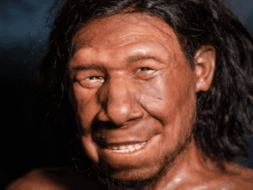 Neanderthal Genes Were the Reason for Severe COVID-19 Syndrome