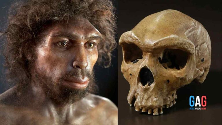 Nearly All Humans Faced Extinction Years Ago | The Population Survived With Just 1280 Individuals!