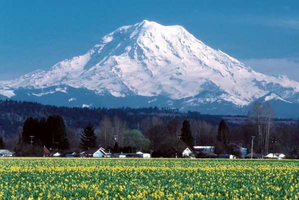 What If The Mount Rainier Active Volcano In The USA Erupted Right Now?