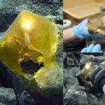Scientists Discover A Mysterious 'Golden Egg' on the Seafloor of Alaska!