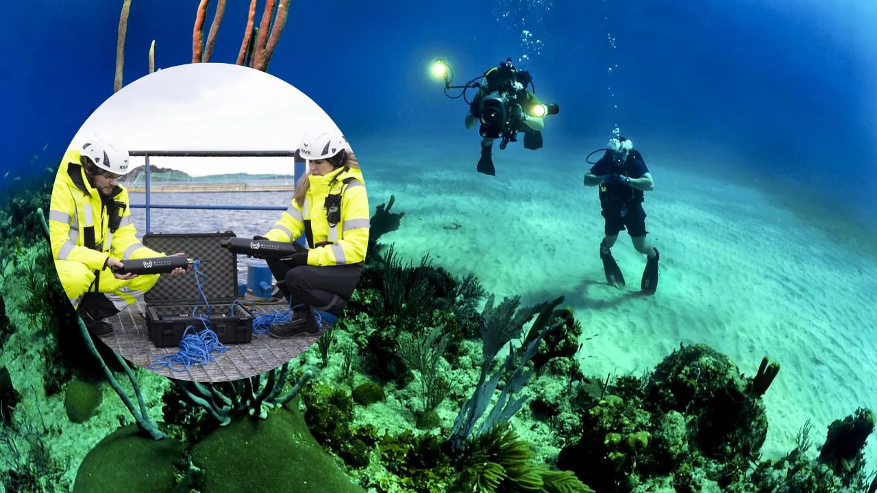 Startup Launches First-Ever Internet of Underwater Things (IoUT)