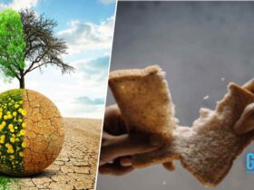 What If The Extreme Climate Events Caused A Global Food Shortage (1)
