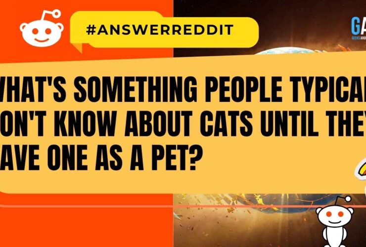 What's something people typically don't know about cats until they have one as a pet