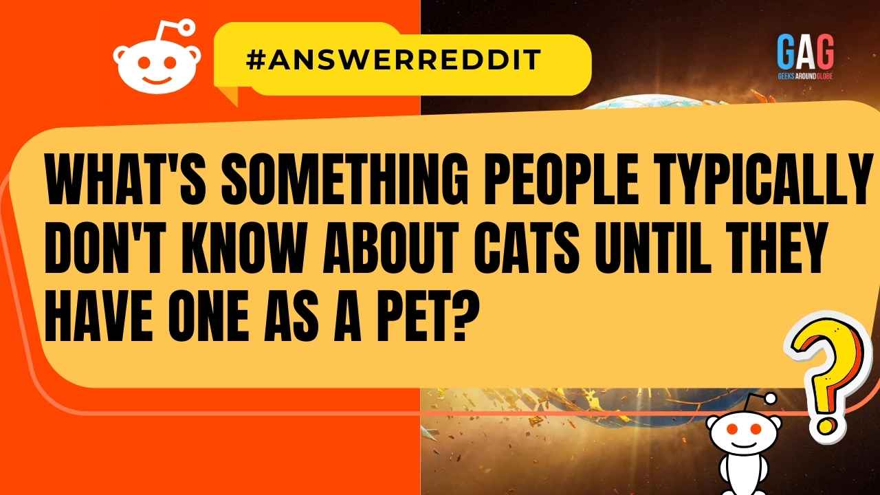 What's something people typically don't know about cats until they have one as a pet