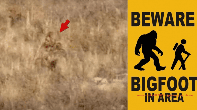 Bigfoot has just ‘spotted’ in Colorado with a whole video