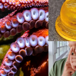 Scientists Discover An Octopus Like Suction Cup To Replace Injections & Needles!