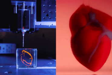 Stanford University Set To Print Human Hearts Researchers Use Advanced 3D Printing To Create Fully Functioning Hearts! (1)