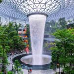 What Is Biomimicry and How Is It Used in Design