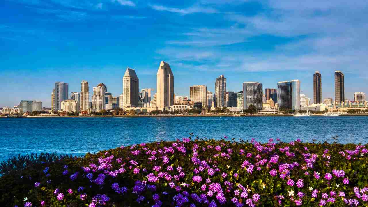 Understanding Home Values in San Diego and Making the Perfect Offer