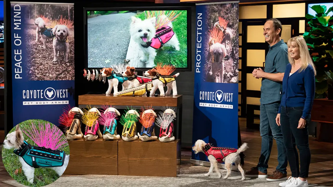 Paul and Pamela Mott presenting CoyoteVest dog protection armor on Shark Tank with colorful spiked vests for small dogs displayed on mannequins and a live dog model.