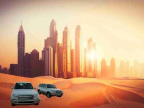 Beyond the city light Experience the desert safari Dubai adventure
