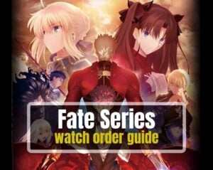 How to Watch Fate Series in Order - Geeks Around Globe