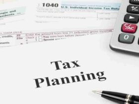 Leveraging Audit Support for Efficient Tax Planning