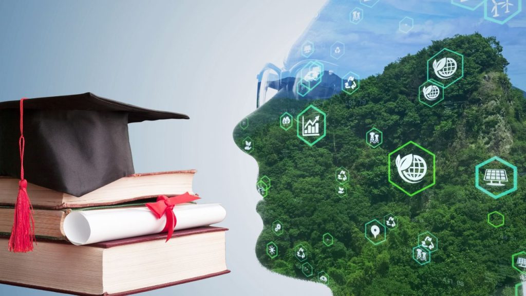 7 Best Environmental Sustainability Degrees To Consider