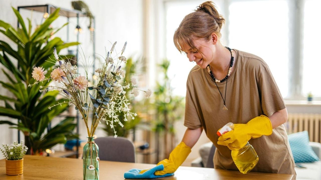 Eco-Friendly Apartment Cleaning