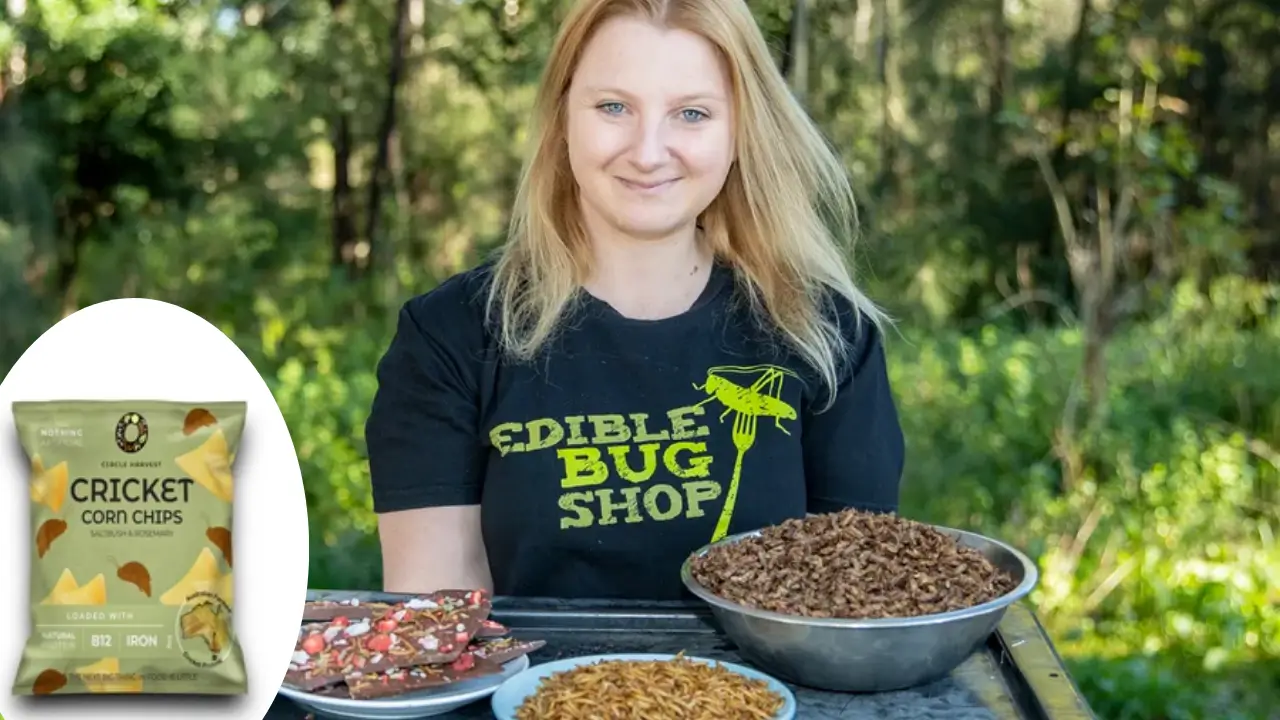 Skye Blackburn, founder of Edible Bug Shop, with bowls of edible insects and cricket corn chips on display