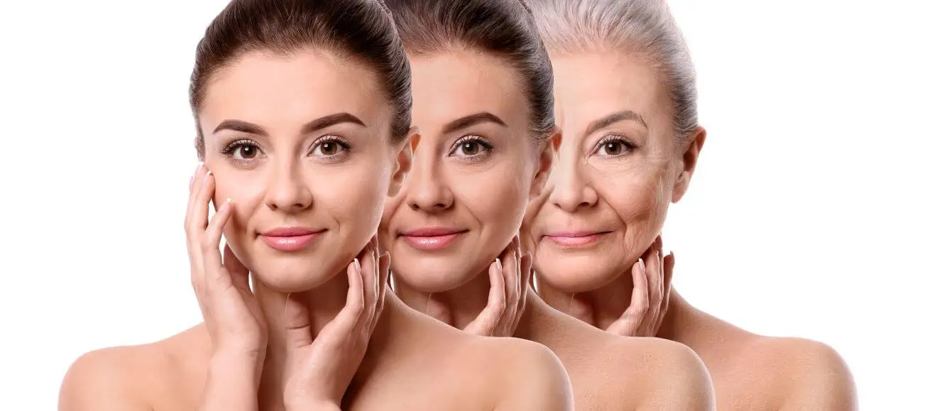 Rapamycin and longevity