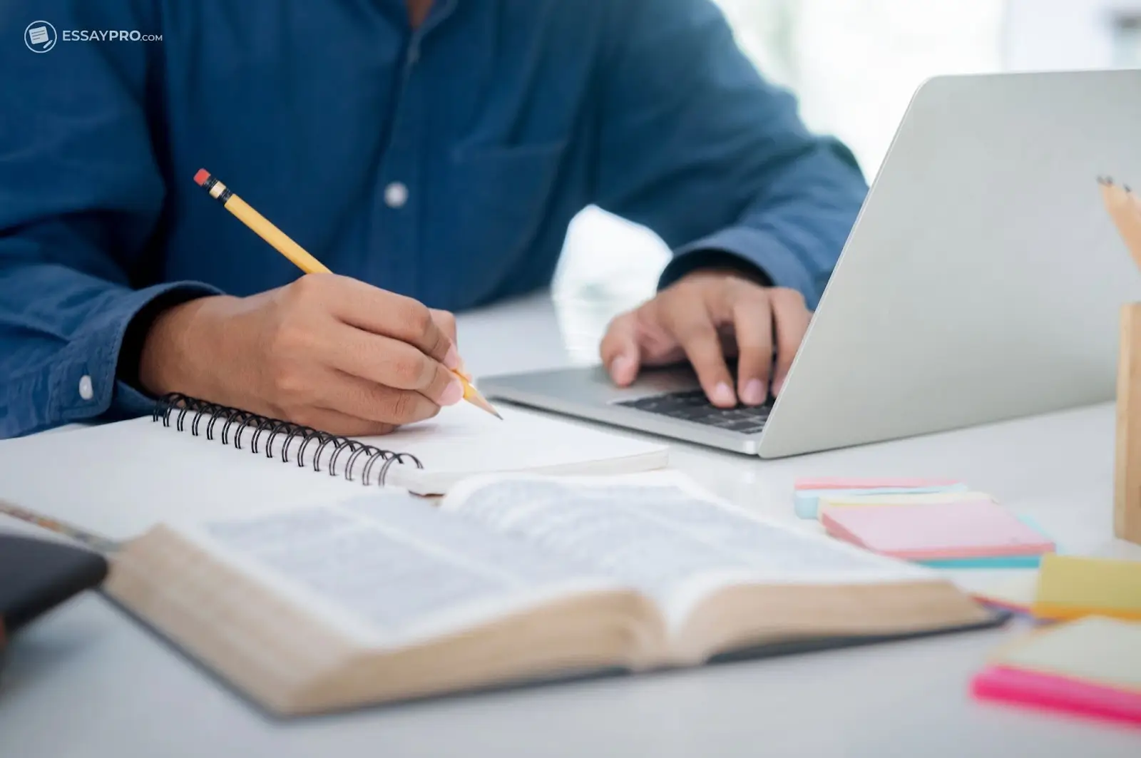 Essay editing help