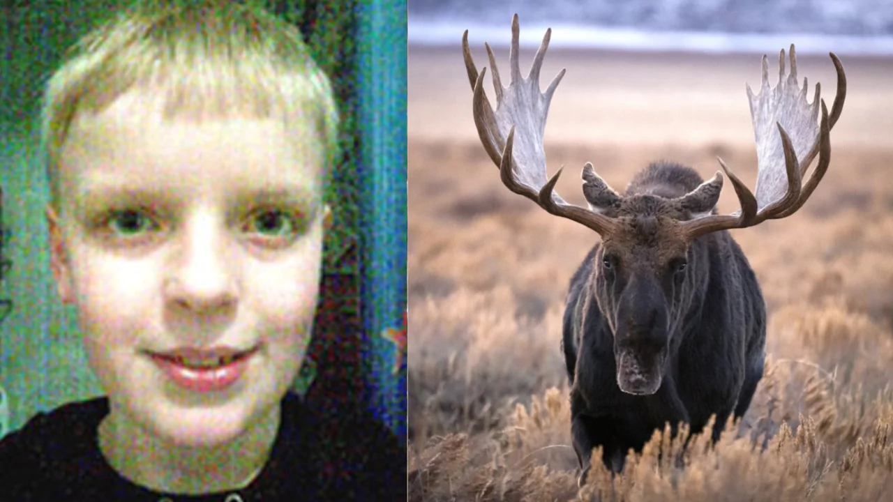 Young boy beside a bull moose, showing a 12-year-old gamer using a World of Warcraft Feign Death tactic to protect his sister.