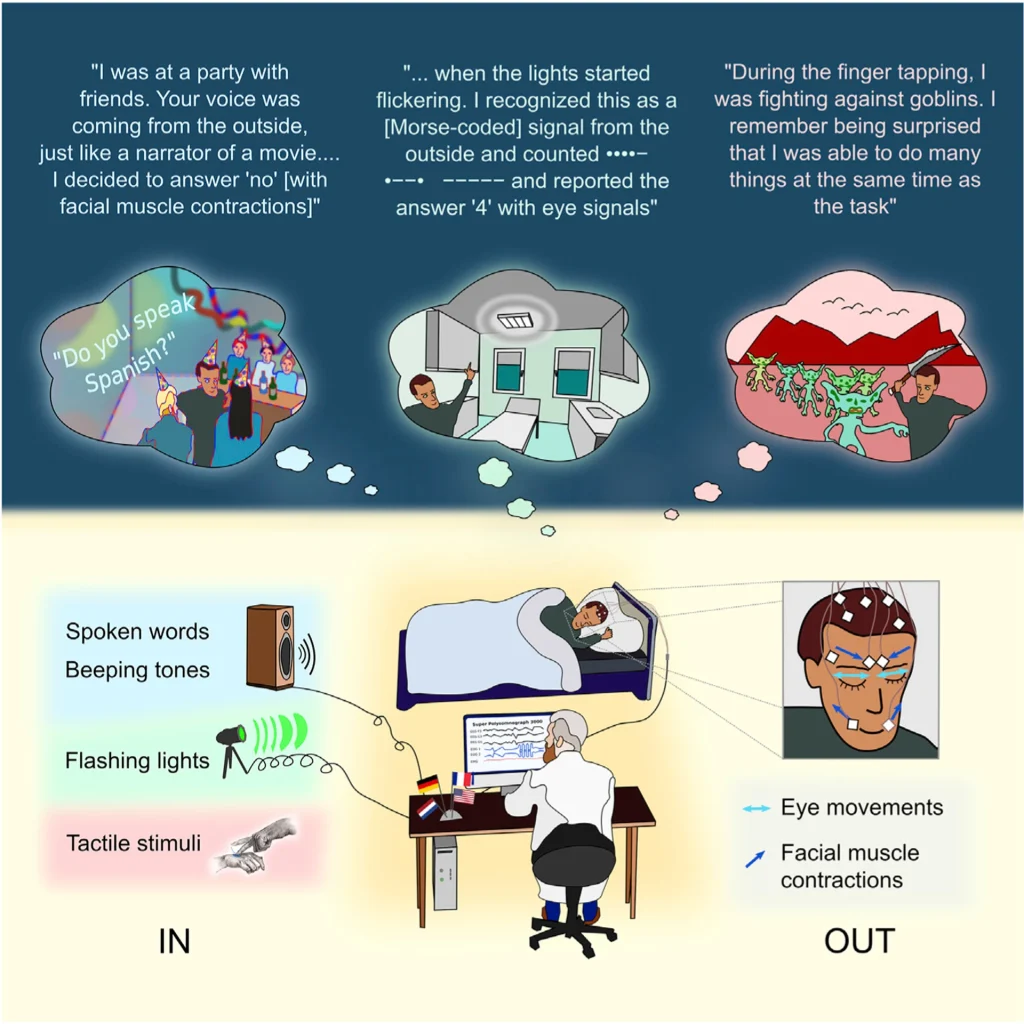 Diagram showing real-time communication with lucid dreamers using spoken words, lights, and tactile signals, while their eye movements and facial muscle contractions were recorded to provide responses.