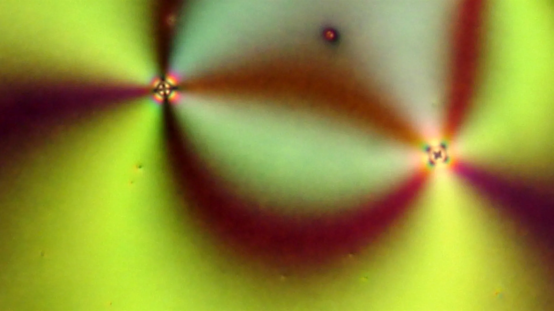 AI-generated visualization showing molecular alignment in a liquid crystal, where two point defects of opposite sign attract and annihilate each other under mapped boundary conditions.