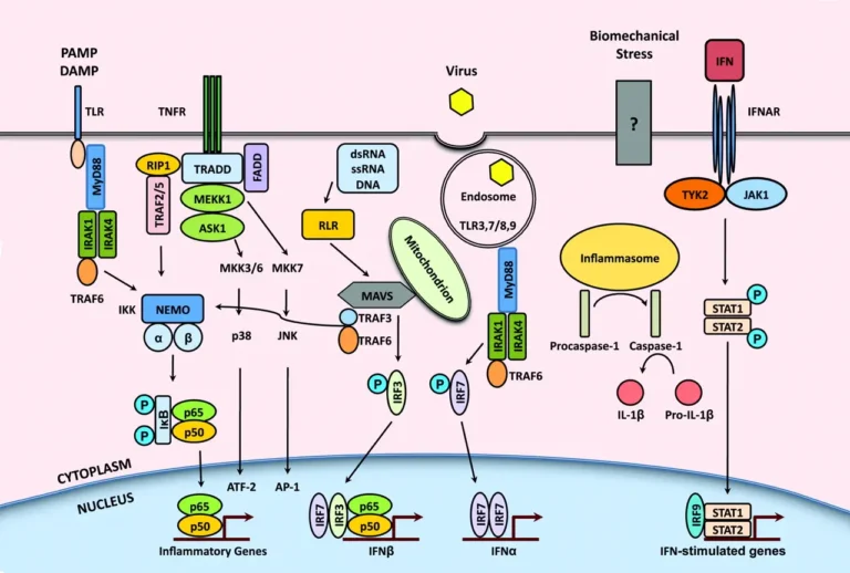 Targeting inflammatory pathways