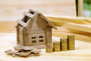 Property tax consultant